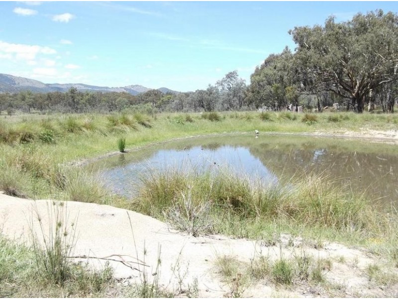 Tenterfield NSW 2372