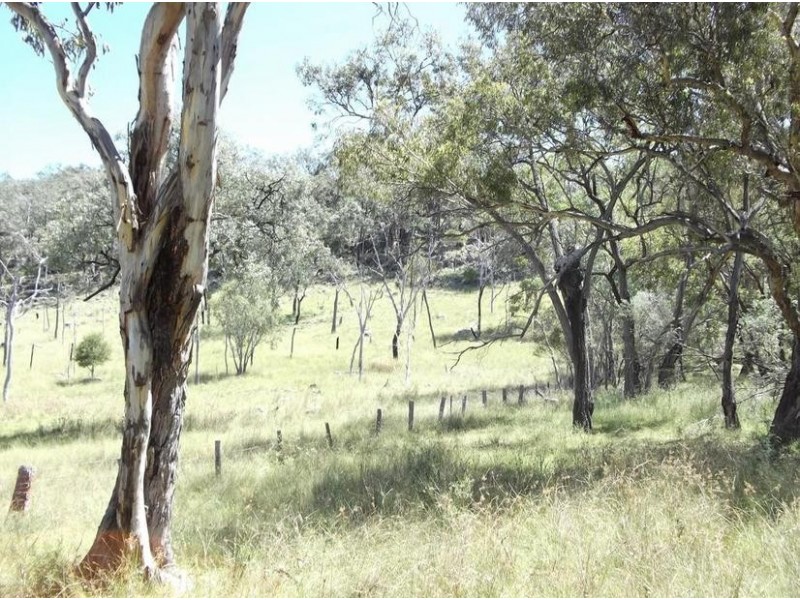 Tenterfield NSW 2372