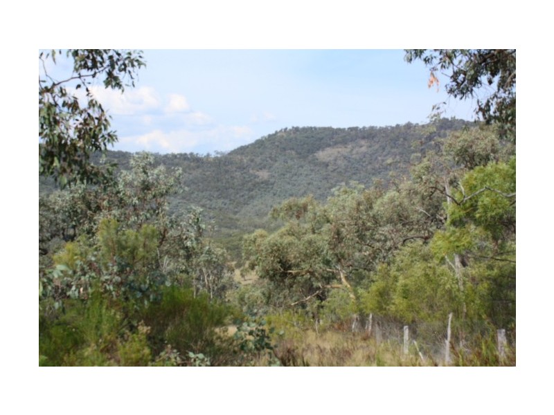 Tenterfield NSW 2372