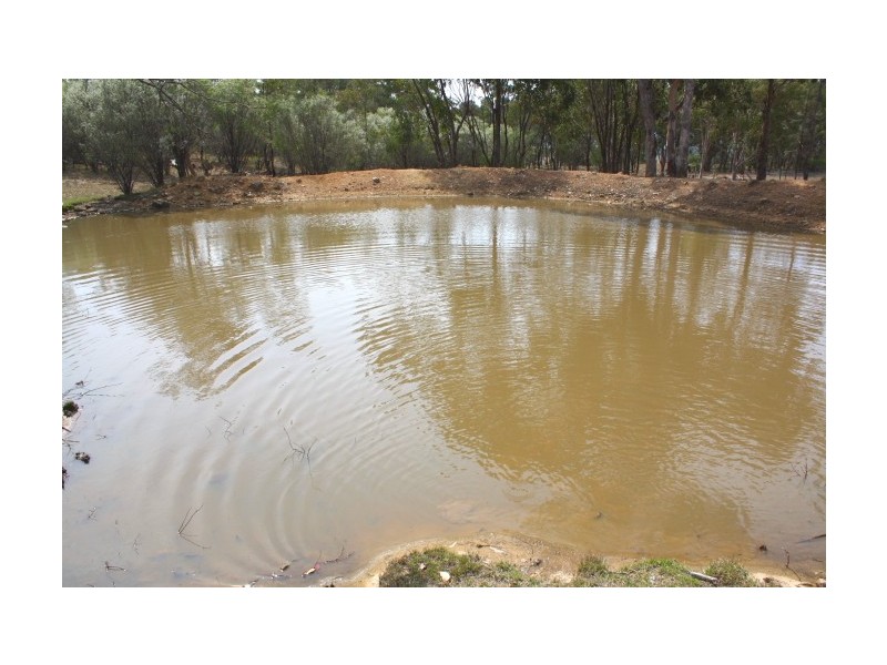 Tenterfield NSW 2372