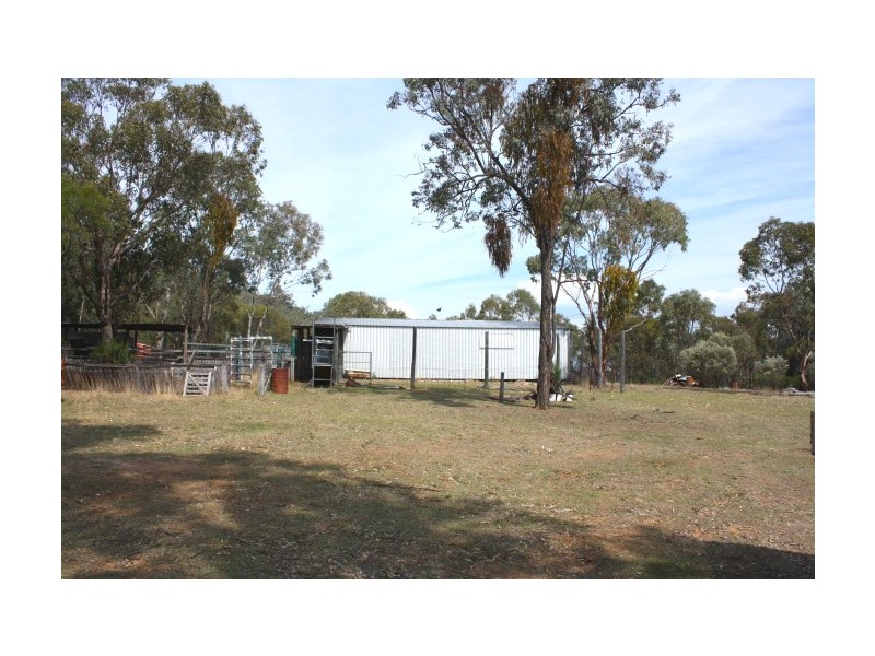 Tenterfield NSW 2372