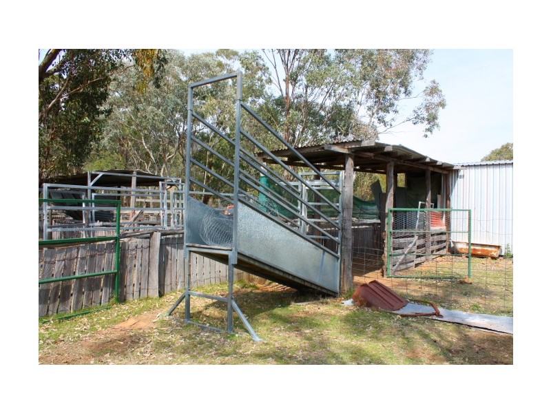 Tenterfield NSW 2372