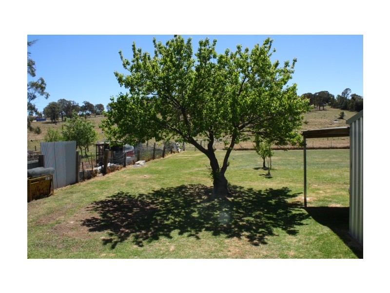 Tenterfield NSW 2372