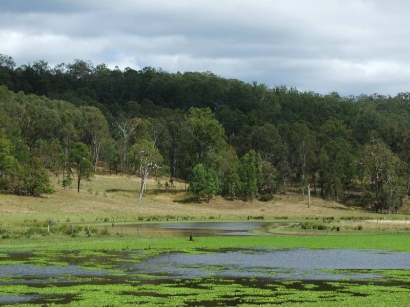 Tabulam NSW 2469