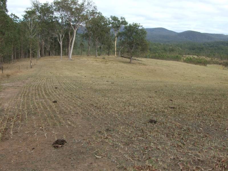 Tabulam NSW 2469