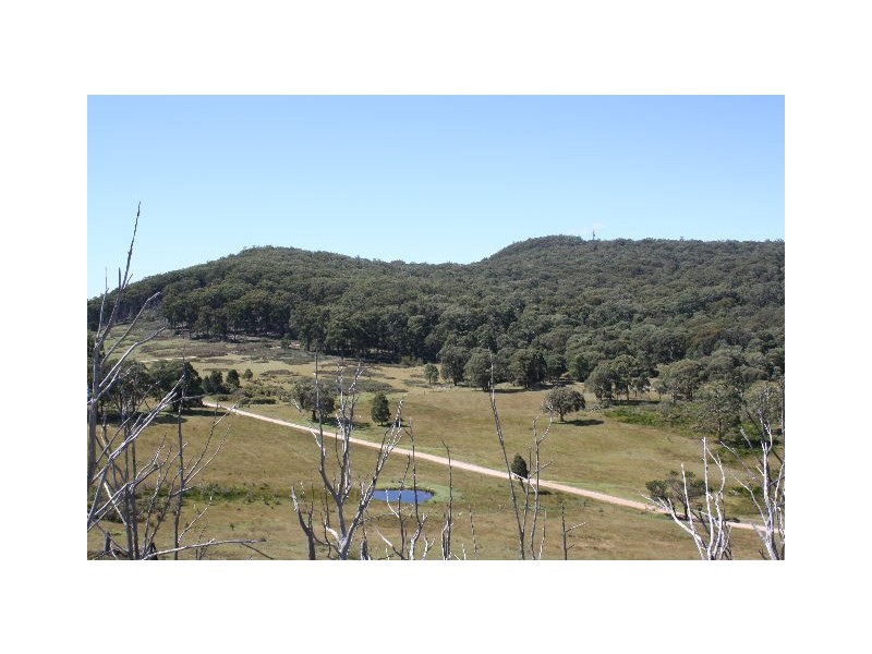 Tenterfield NSW 2372