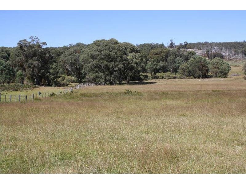 Tenterfield NSW 2372