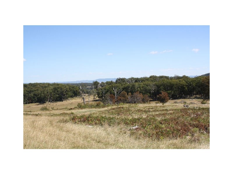 Tenterfield NSW 2372