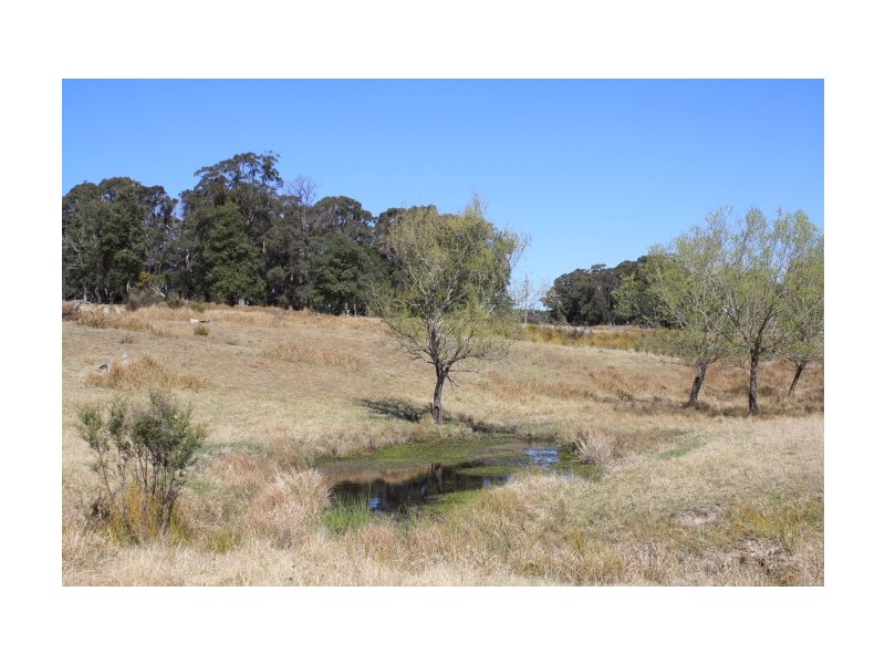 Tenterfield NSW 2372