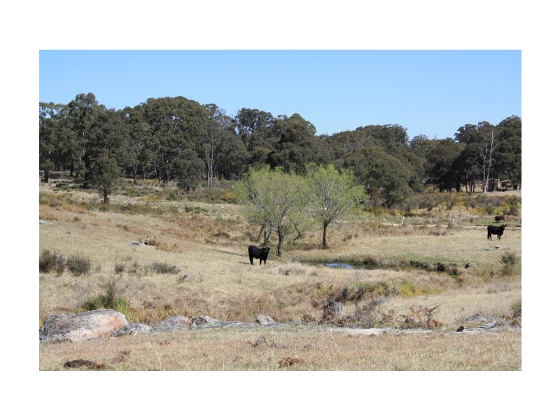 Tenterfield NSW 2372