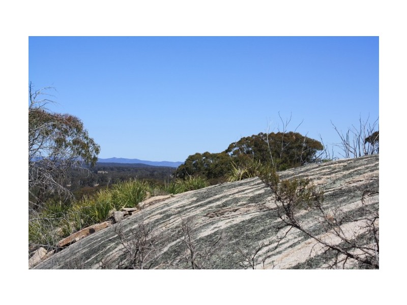 Tenterfield NSW 2372