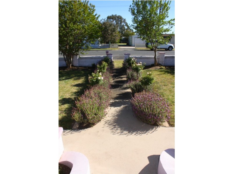 Tenterfield NSW 2372