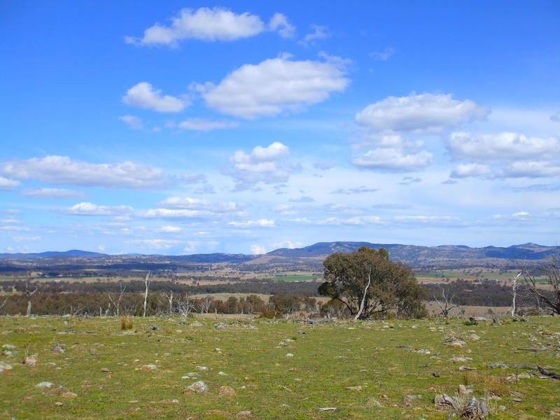 Tenterfield NSW 2372