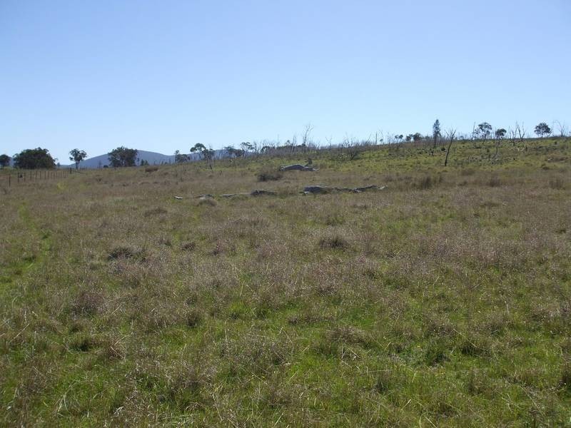 Tenterfield NSW 2372