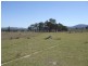 Tenterfield NSW 2372