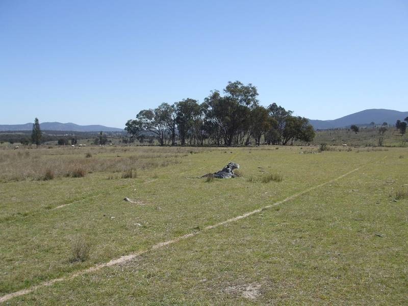 Tenterfield NSW 2372