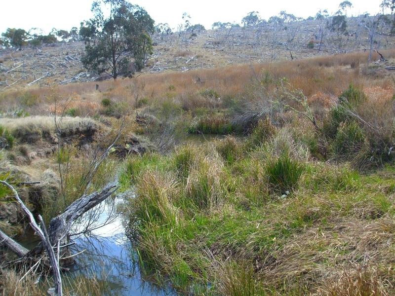 Tenterfield NSW 2372