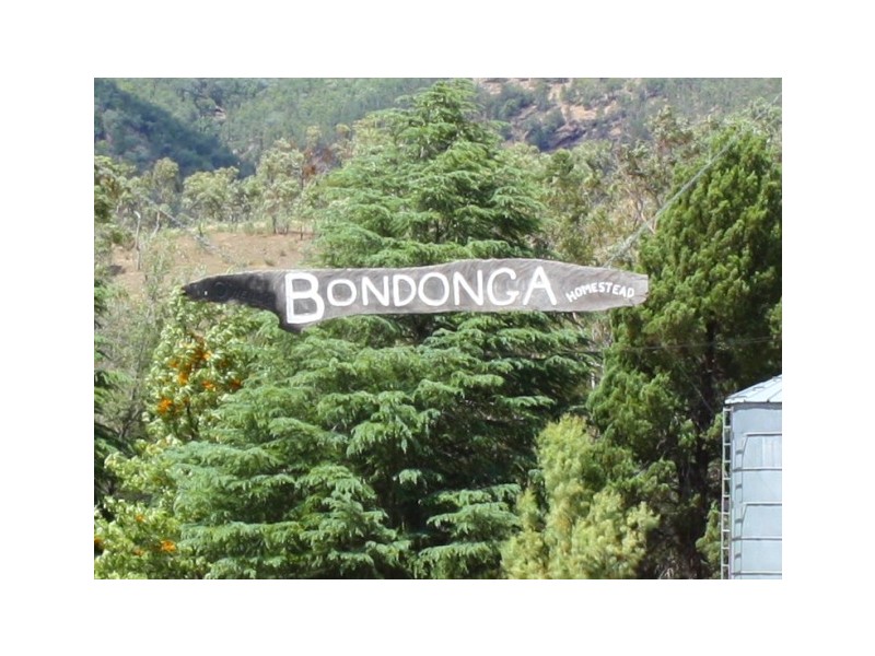 Tenterfield NSW 2372