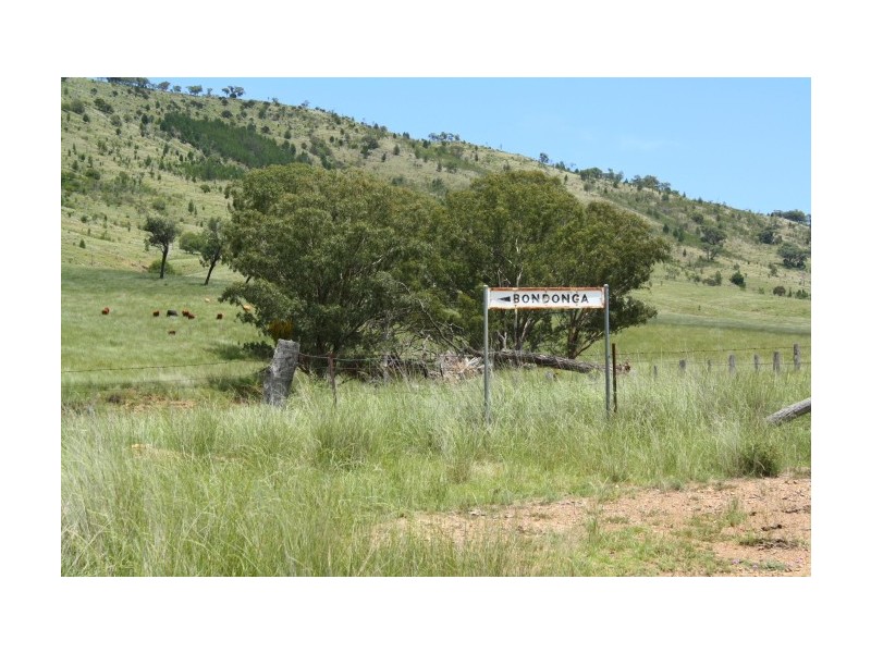 Tenterfield NSW 2372