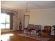 Tenterfield NSW 2372