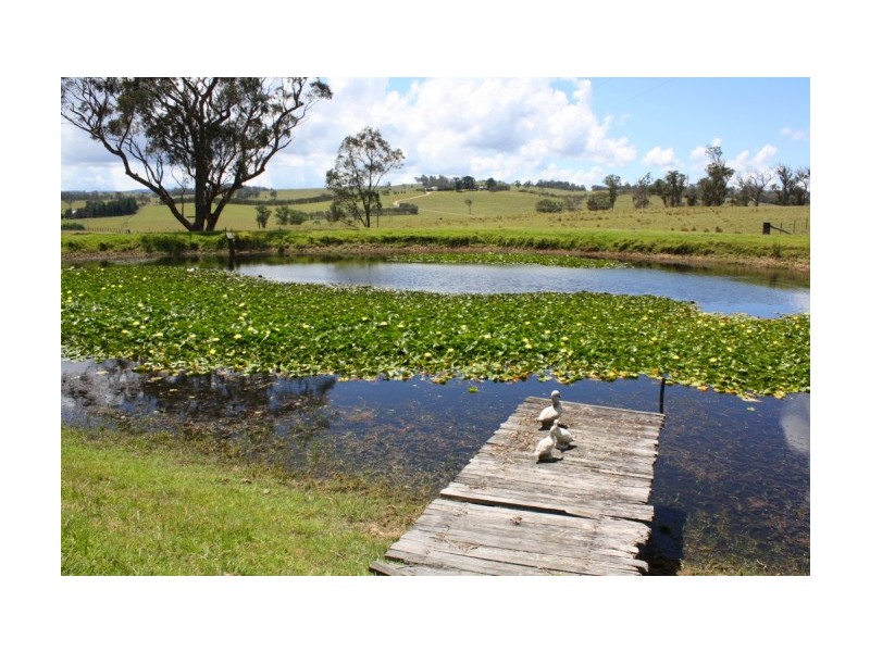 Tenterfield NSW 2372