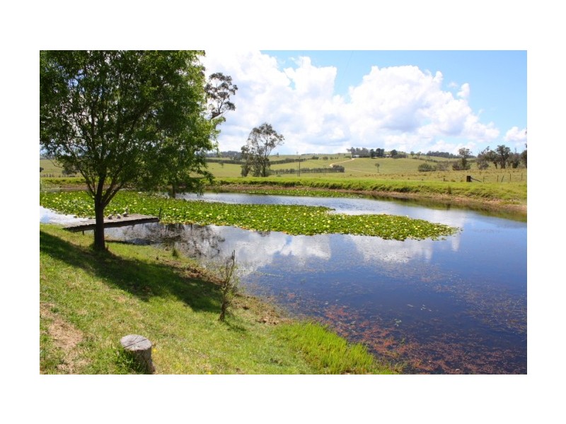 Tenterfield NSW 2372