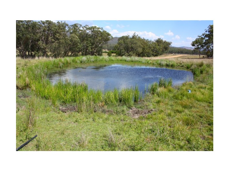 Tenterfield NSW 2372