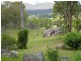 Tenterfield NSW 2372