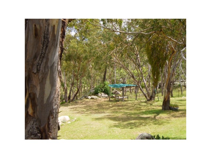 Tenterfield NSW 2372