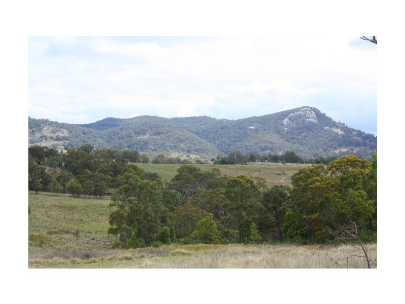 Tenterfield NSW 2372