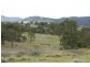 Tenterfield NSW 2372
