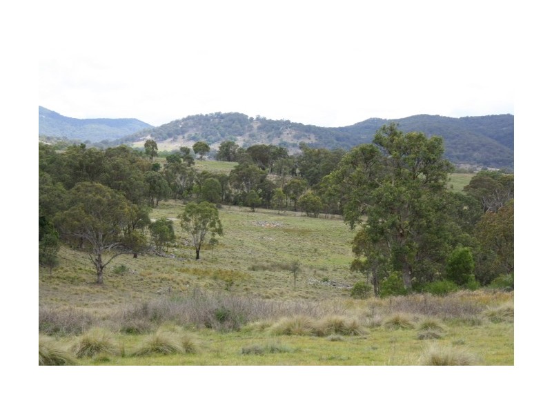 Tenterfield NSW 2372