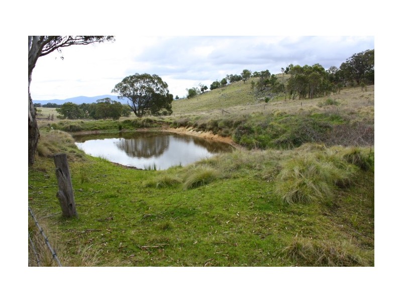 Tenterfield NSW 2372