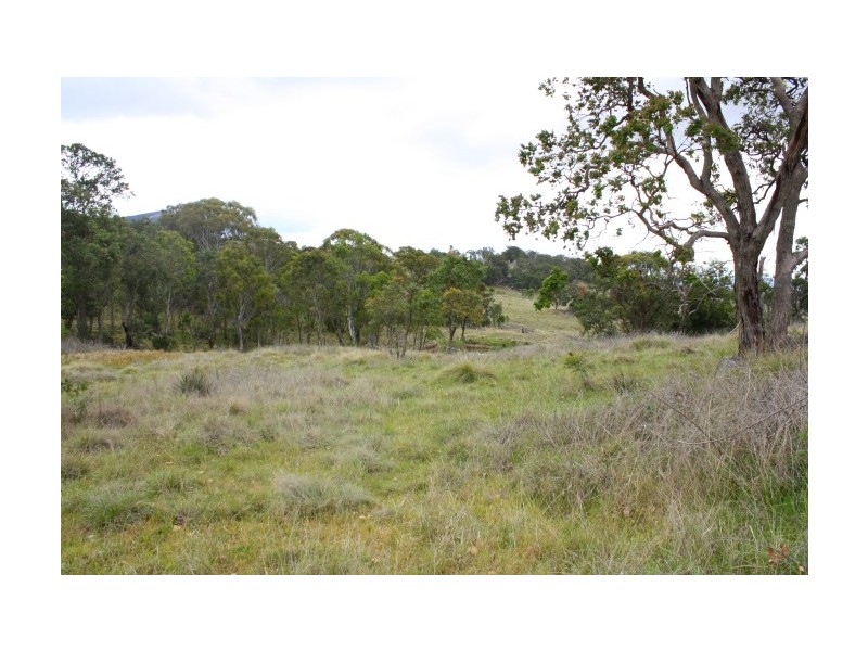 Tenterfield NSW 2372