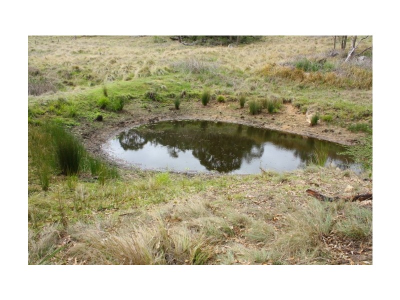 Tenterfield NSW 2372