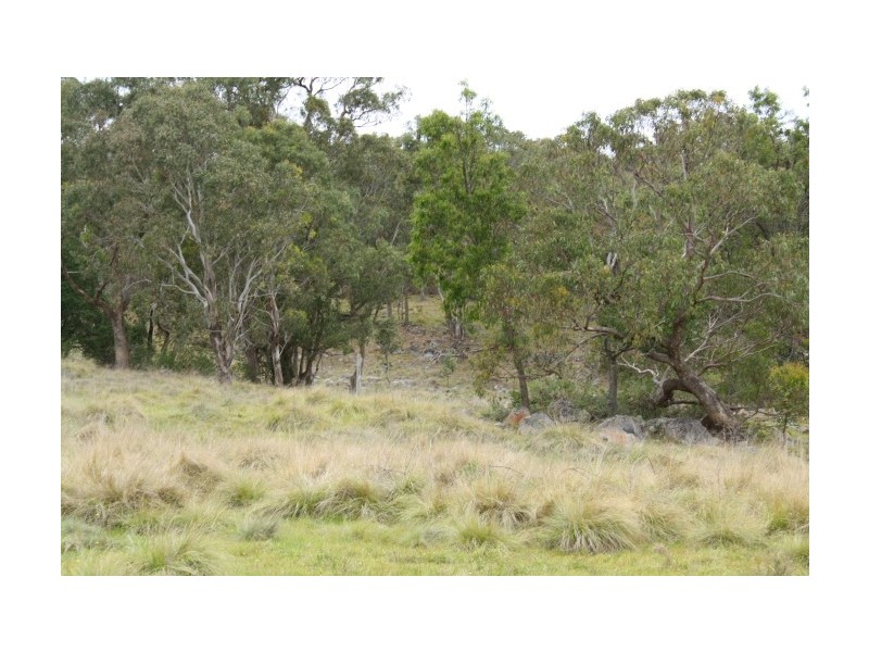 Tenterfield NSW 2372