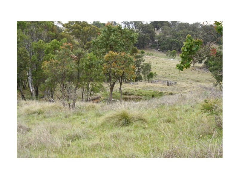 Tenterfield NSW 2372