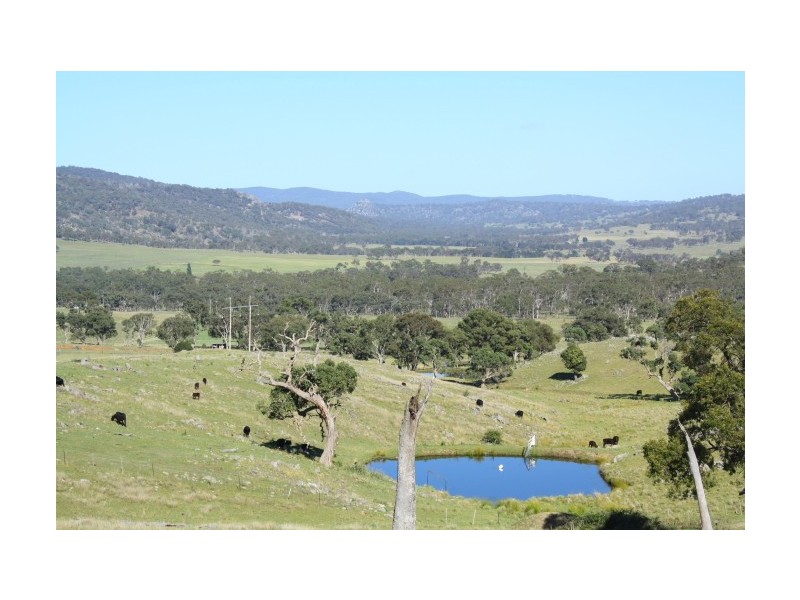 Tenterfield NSW 2372