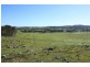 Tenterfield NSW 2372