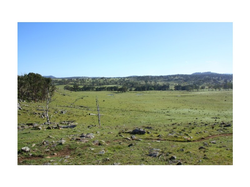 Tenterfield NSW 2372