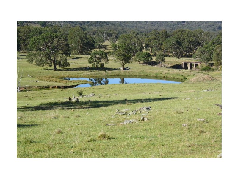 Tenterfield NSW 2372