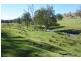 Tenterfield NSW 2372