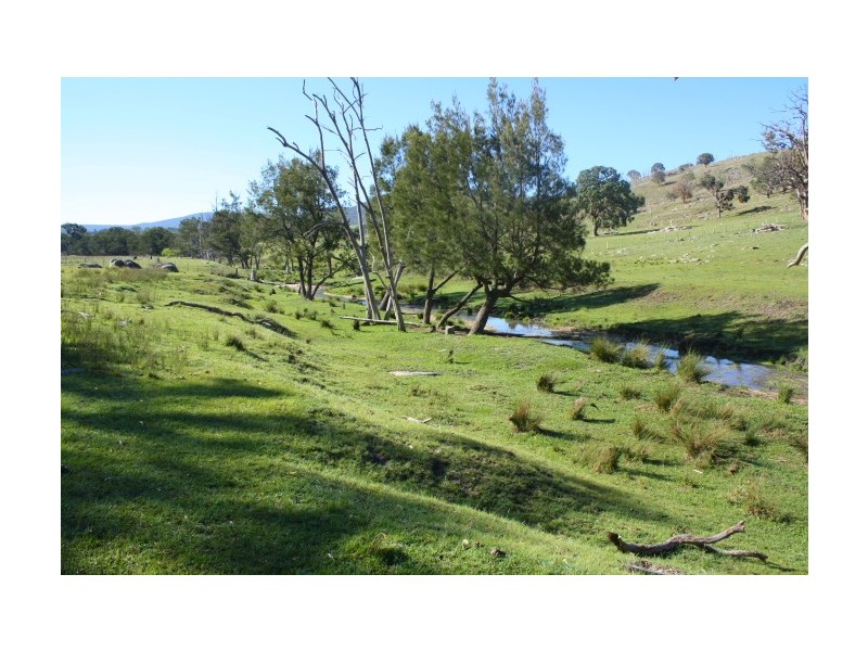 Tenterfield NSW 2372