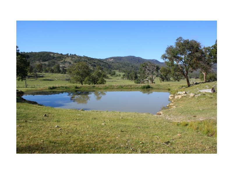 Tenterfield NSW 2372