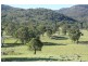 Tenterfield NSW 2372