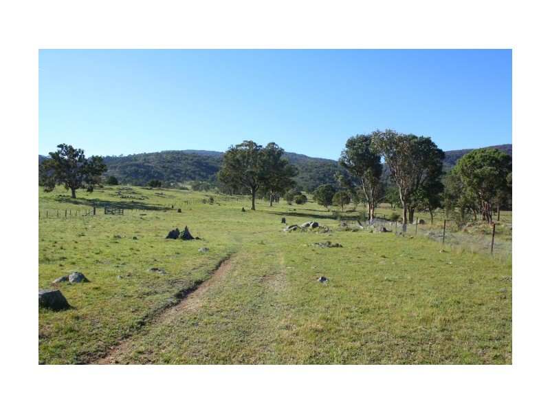 Tenterfield NSW 2372