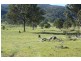 Tenterfield NSW 2372