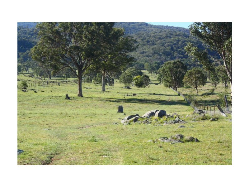 Tenterfield NSW 2372