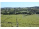 Tenterfield NSW 2372