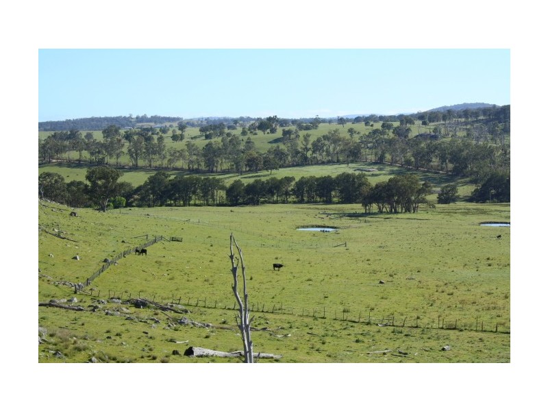 Tenterfield NSW 2372